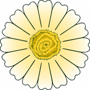 Daisy PNG Clipart