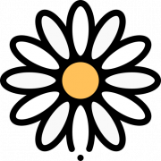 Daisy PNG Photo