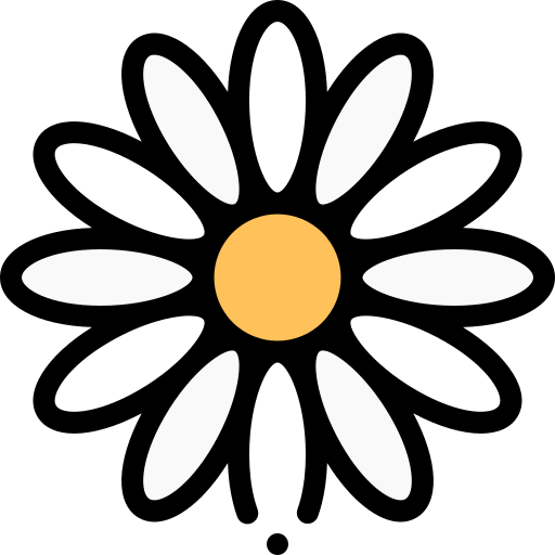 Daisy PNG Photo