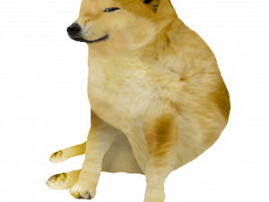 Doggo PNG Picture