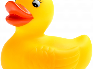 Duckling No Background