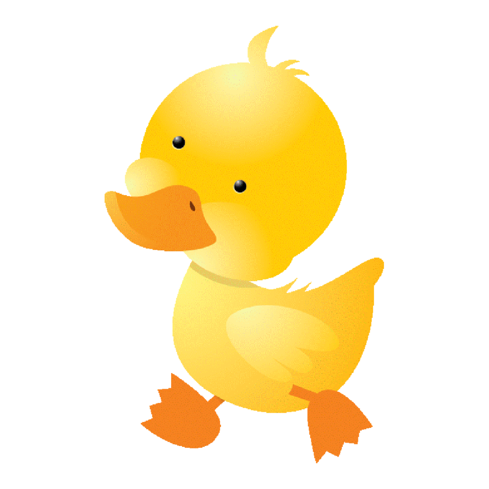 Duckling PNG Cutout