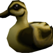 Duckling PNG Image