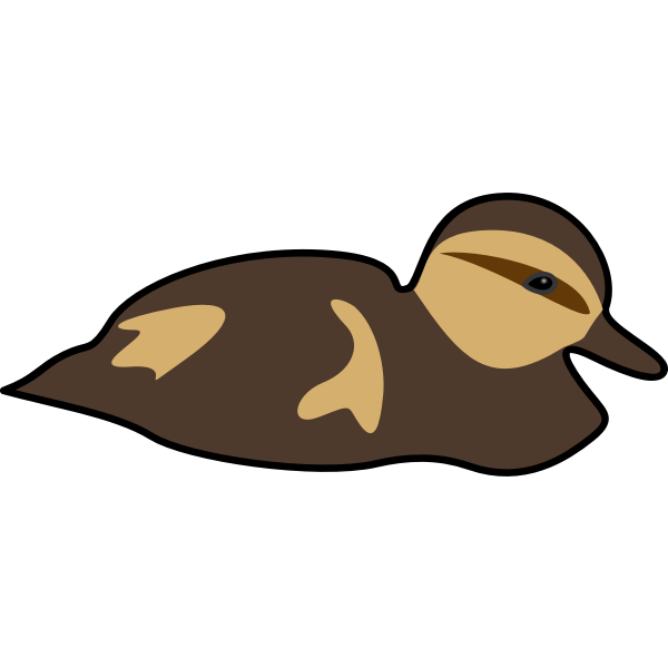 Duckling PNG Image HD