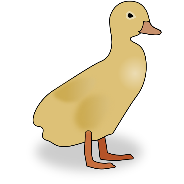 Duckling PNG Photo