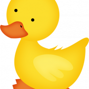 Duckling PNG Photos