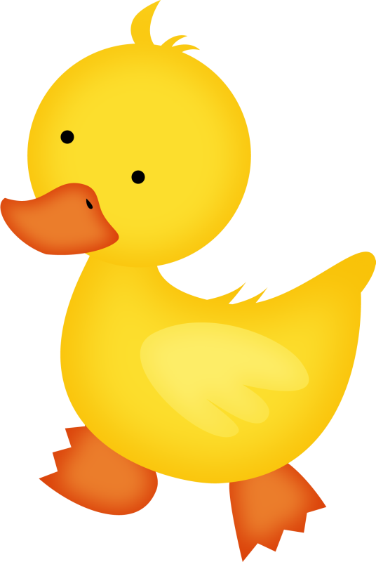 Duckling PNG Photos