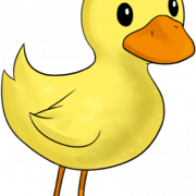 Duckling PNG Pic