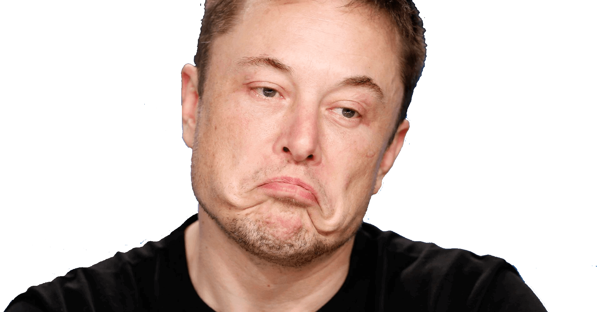 Elon Musk PNG Cutout