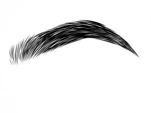 Eyebrow PNG Picture
