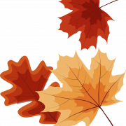 Fall Leaf PNG Photos