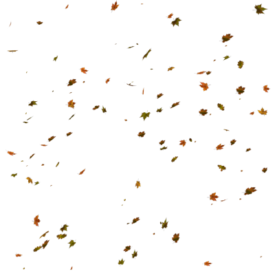 Fall PNG Background