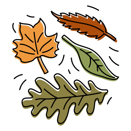 Fall PNG File