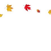 Fall PNG Images