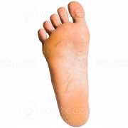 Feet PNG Pic