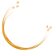 Gold Circle PNG Image