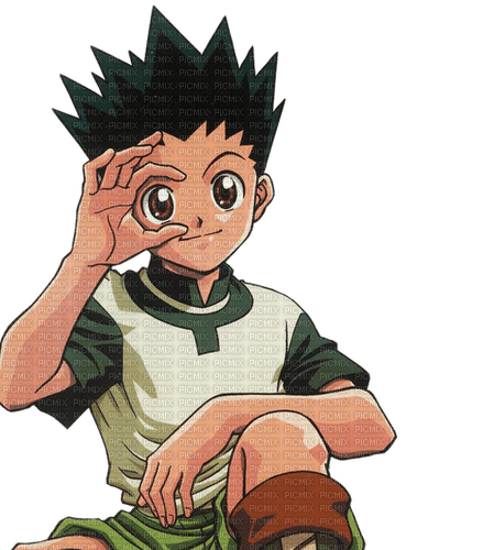 Gon PNG Images