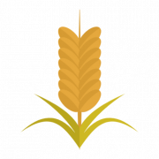Grain PNG Cutout