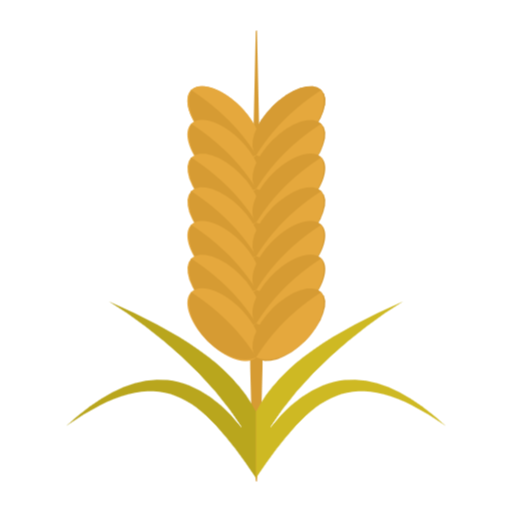 Grain PNG Cutout