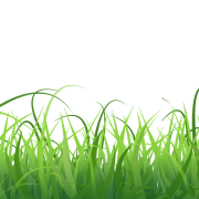 Green Background PNG