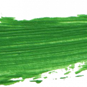 Green PNG Pic