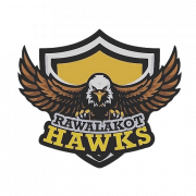Hawk PNG Image HD