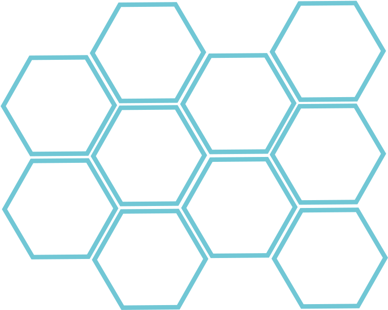 Honeycomb Transparent