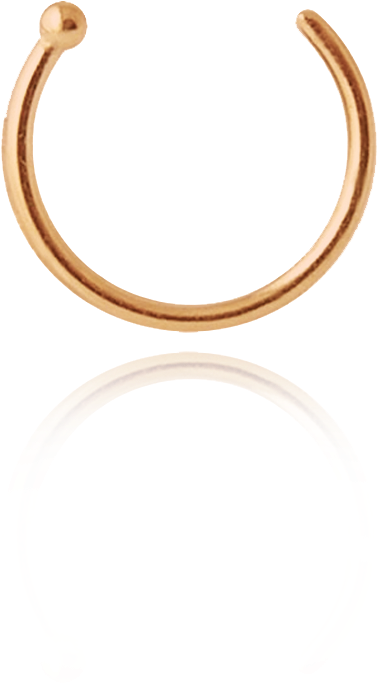 Bull Nose Ring Png - Bull Ring Brass, Transparent Png , Transparent Png  Image - PNGitem