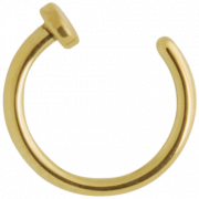 Hoop Nose Ring PNG Picture