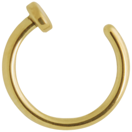 Hoop Nose Ring PNG Clipart - PNG All | PNG All