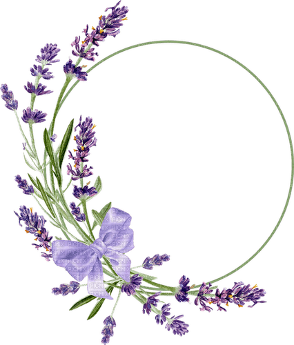 Lavender PNG Cutout