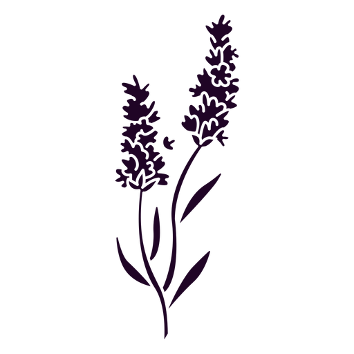 Lavender PNG File