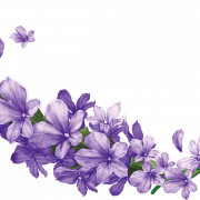 Lavender PNG Image File