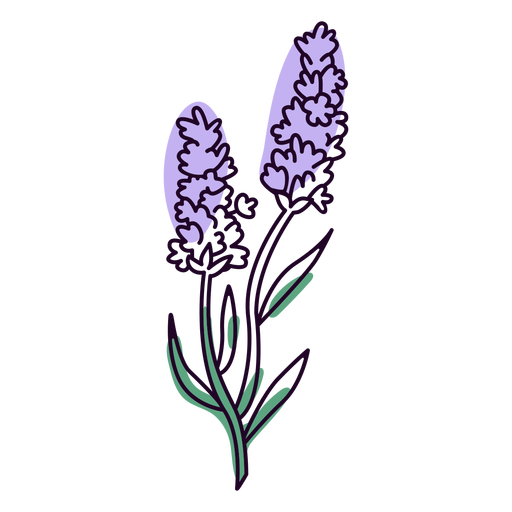 Lavender PNG Picture