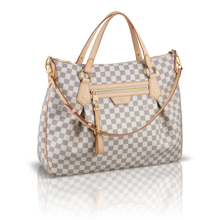 Louis Vuitton Bag PNG Photo