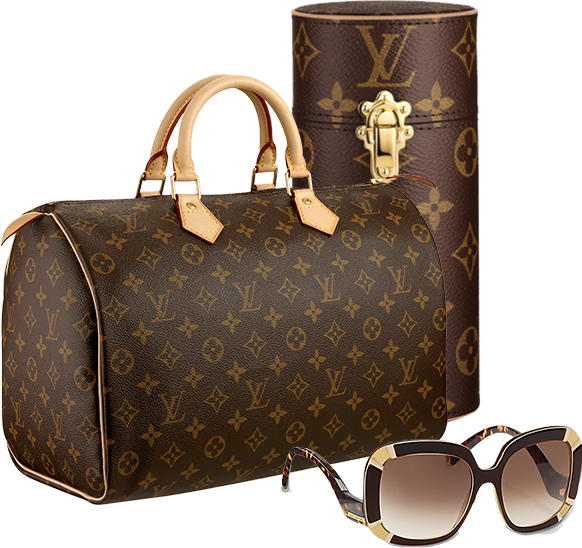 Louis Vuitton Bag PNG