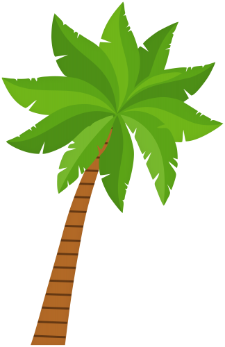 Palm Leaf No Background