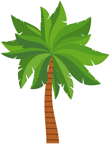 Palm Leaf PNG Free Image