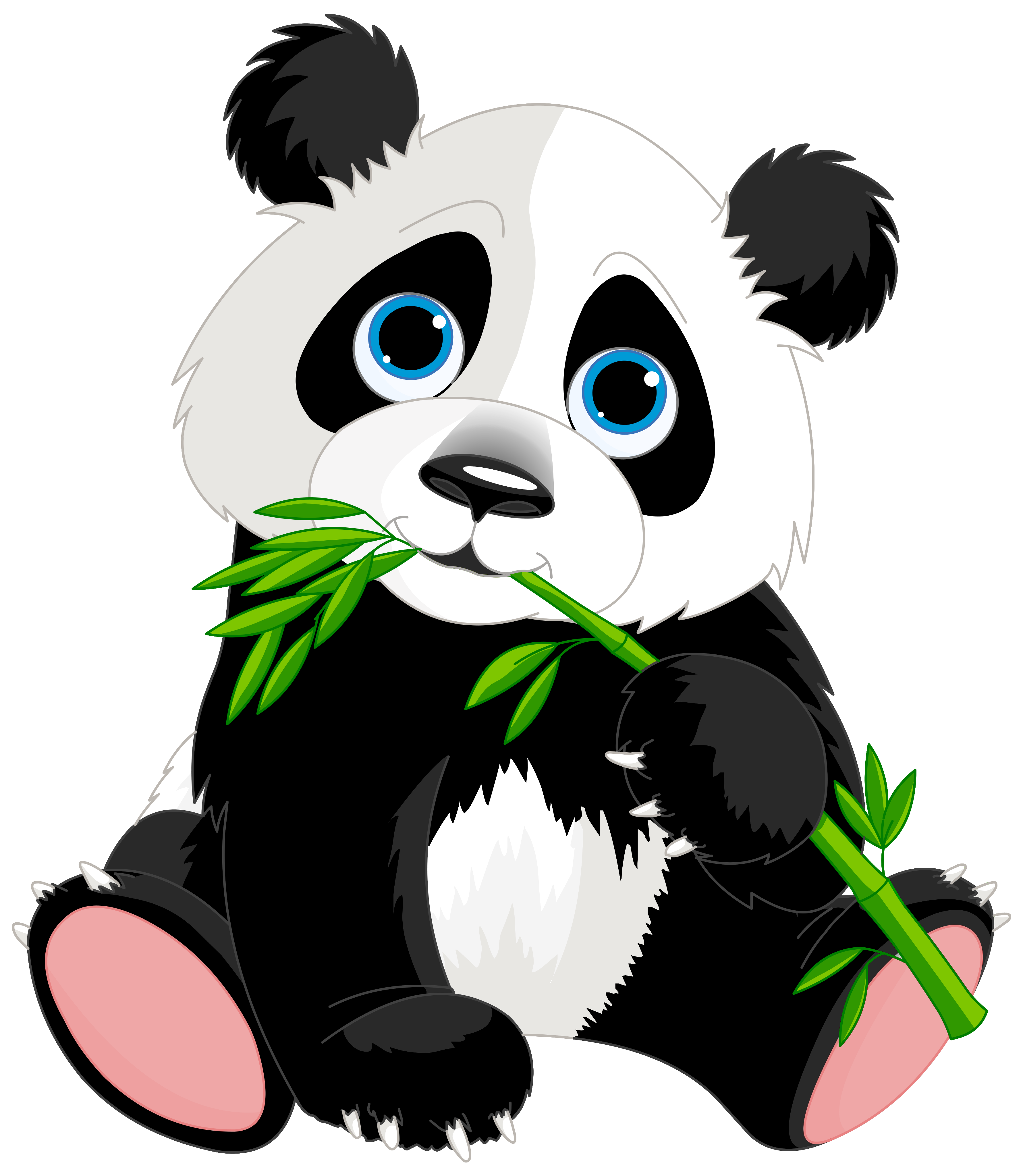Panda PNG Clipart