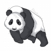 Panda PNG Image HD