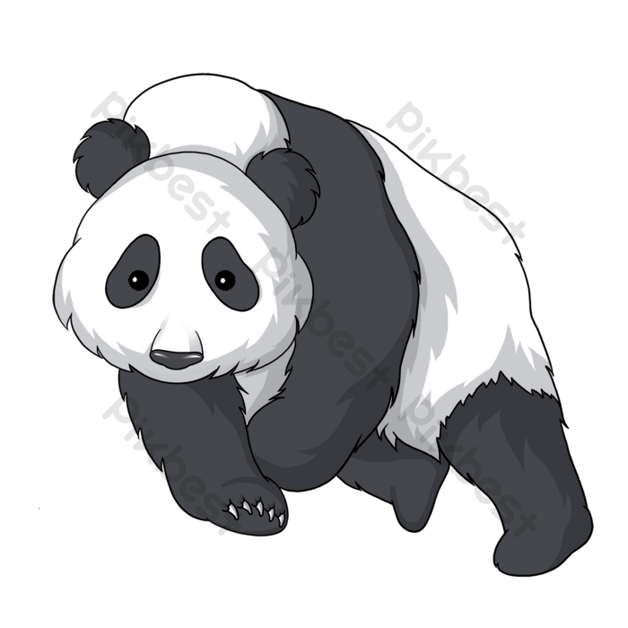 Panda PNG Image HD