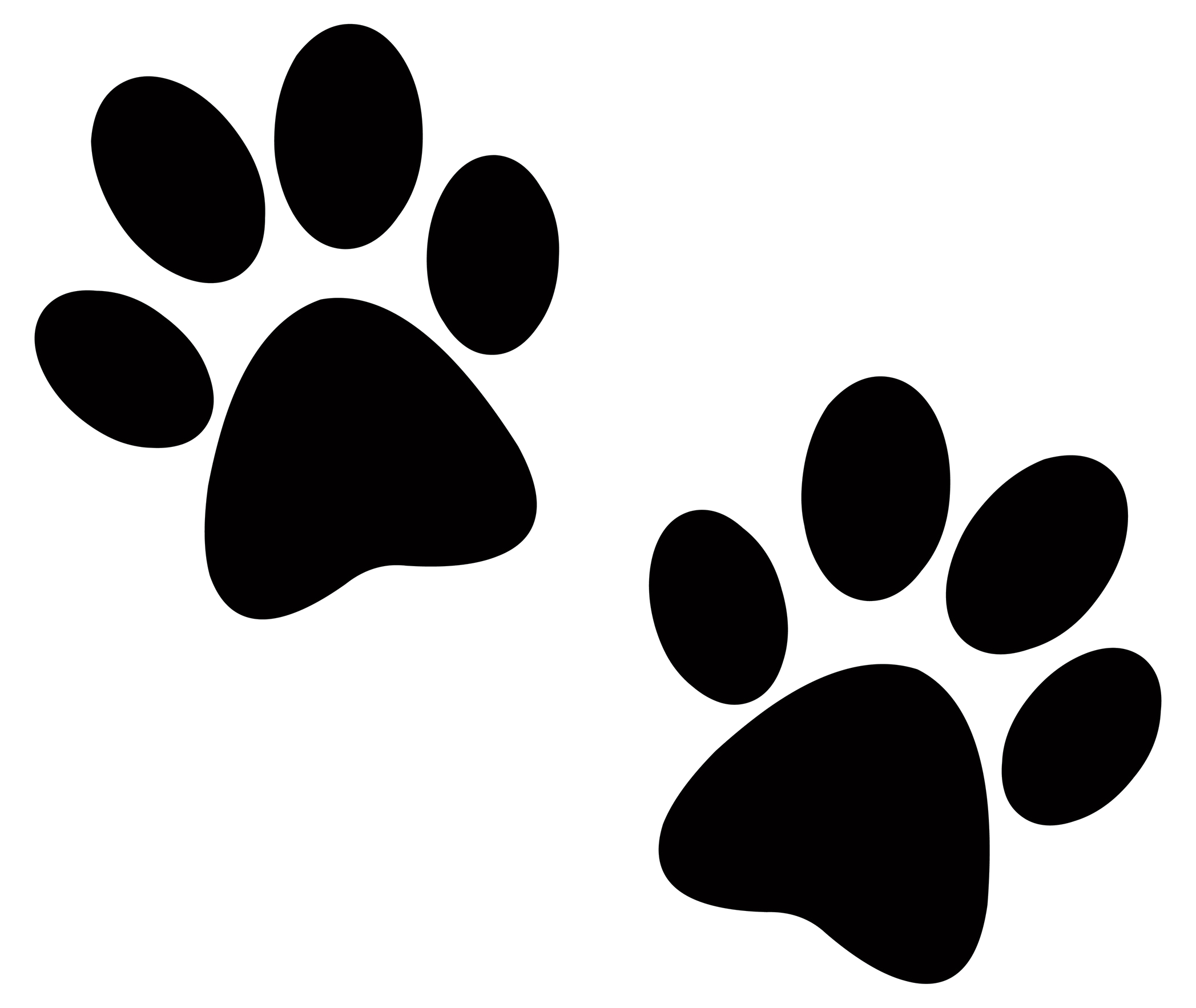 Paw PNG Images