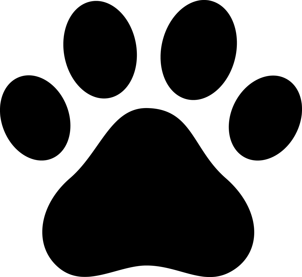Paw PNG Photo