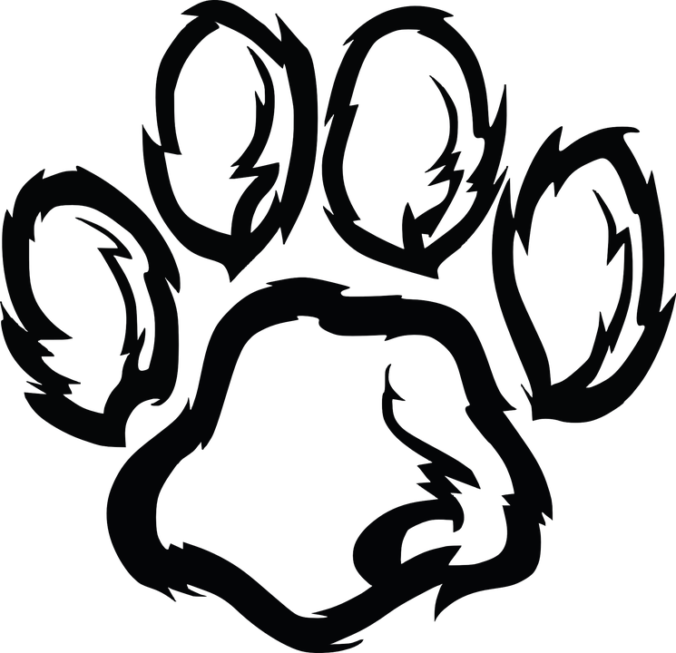 Paw PNG Picture