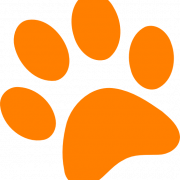 Paw Print PNG Background