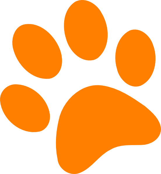 Paw Print PNG Background