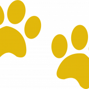 Paw Print PNG Picture