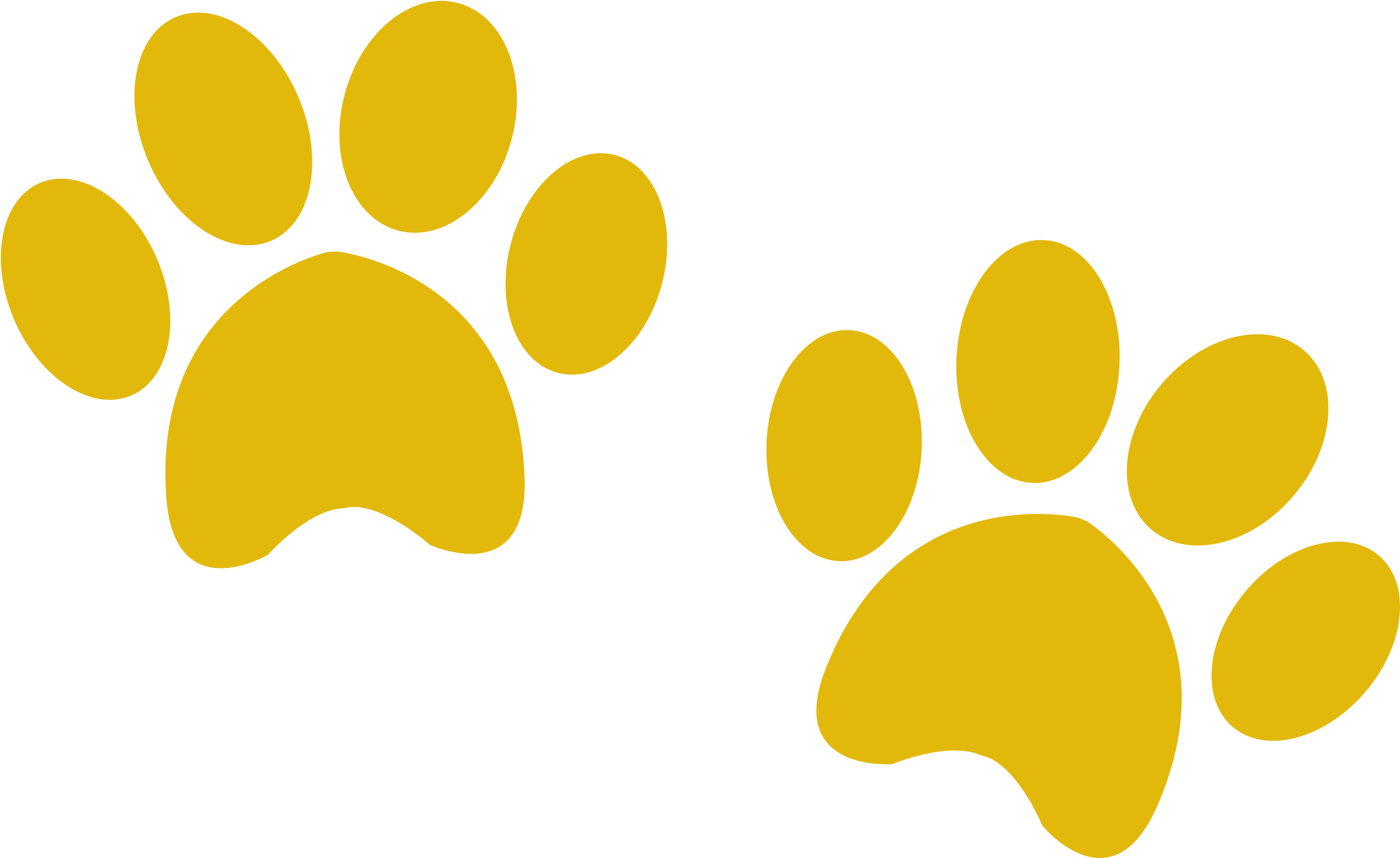 Paw Print PNG Picture