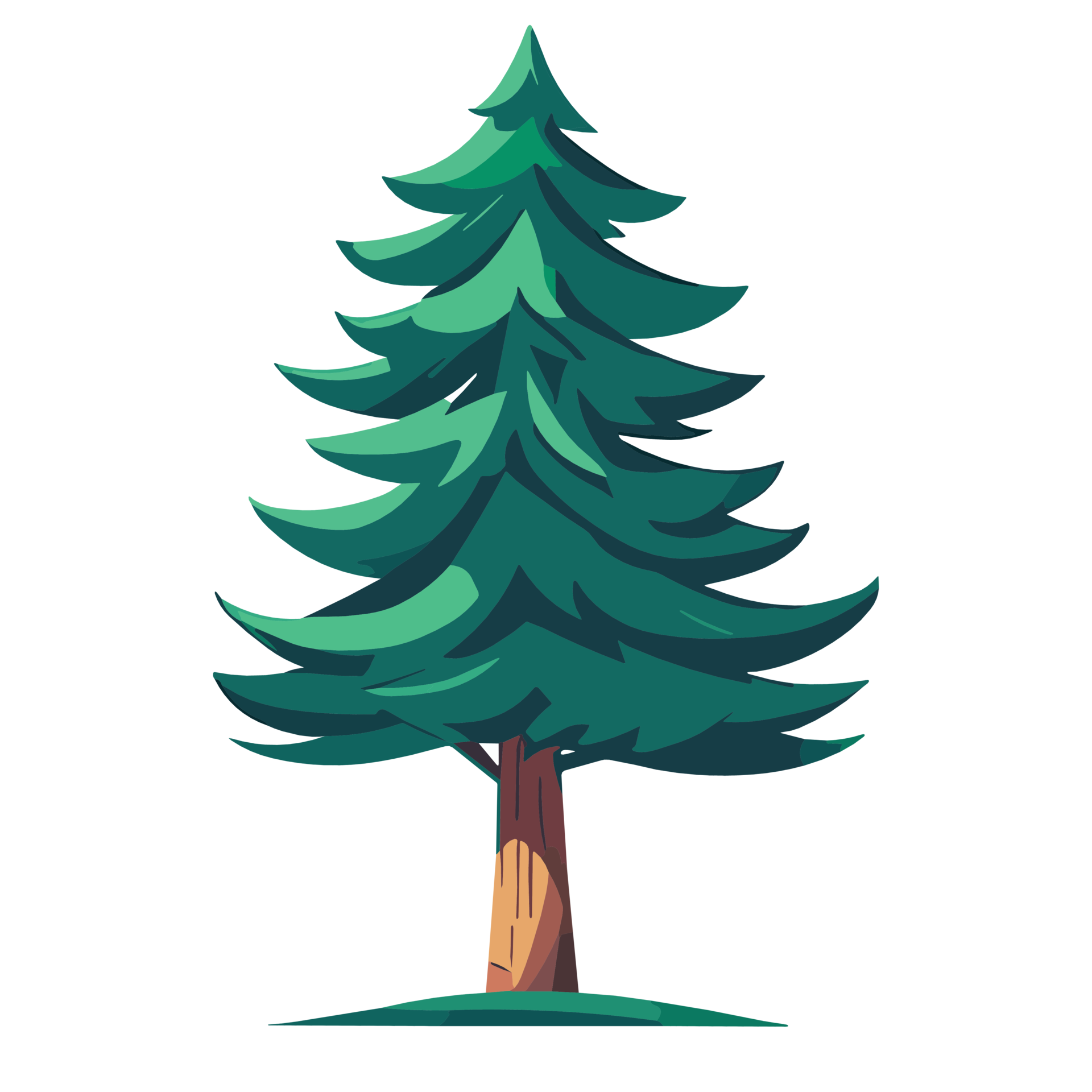 Pine Tree Background PNG