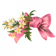 Pink Bow PNG Picture